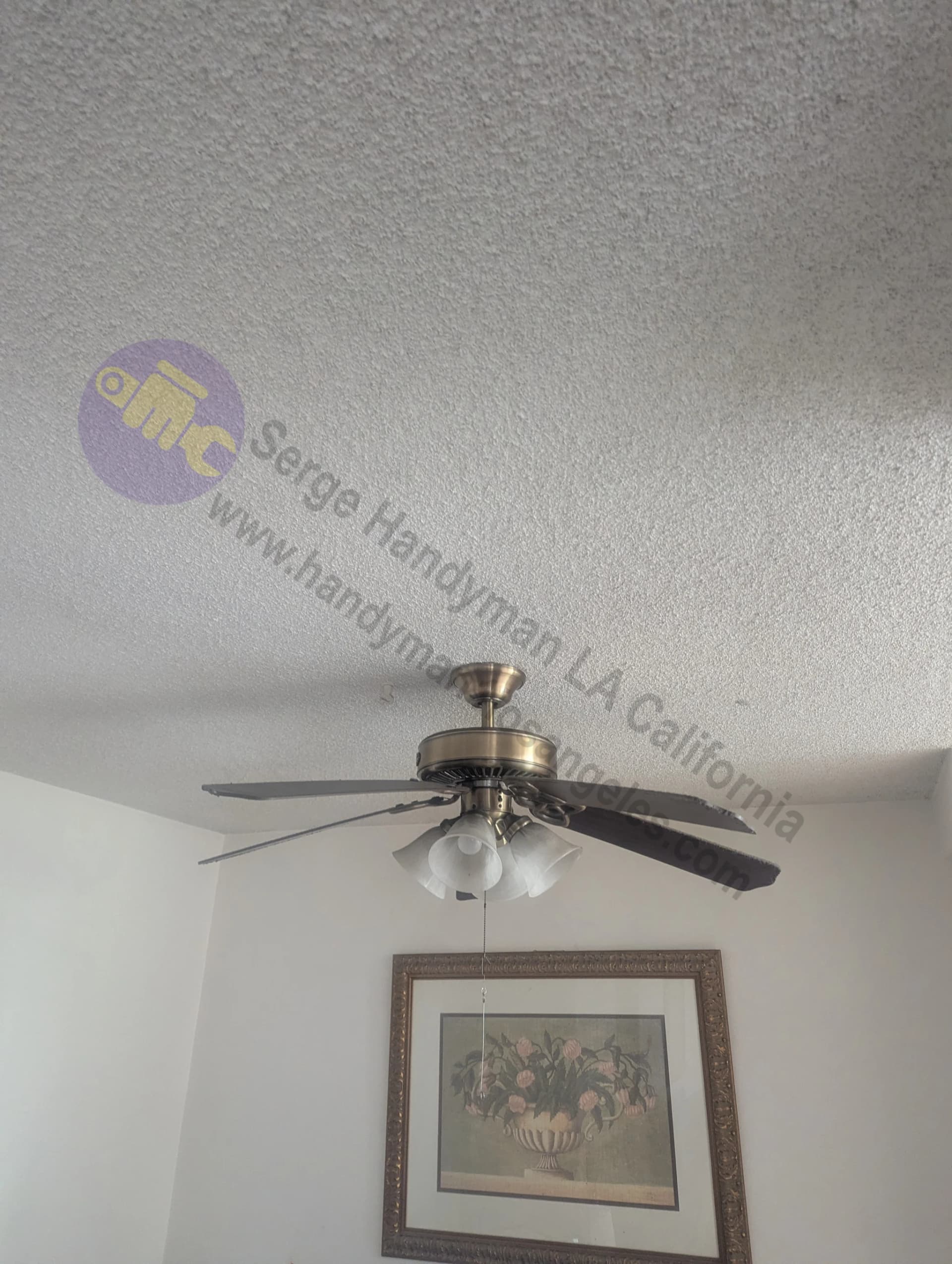 Ceiling Fan Installation in Arcadia